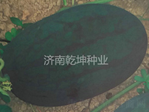 ̨����������-��������-Ǭ����ҵ