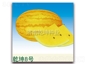 Ǭ��8��-��������-Ǭ����ҵ