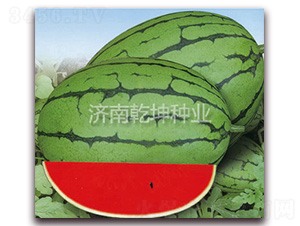 �ļ���-��������-Ǭ����ҵ