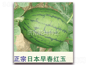 �����ձ��紺����-��������-Ǭ����ҵ