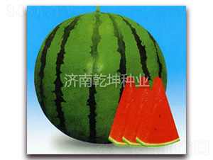 ��Ʒ���-��������-Ǭ����ҵ