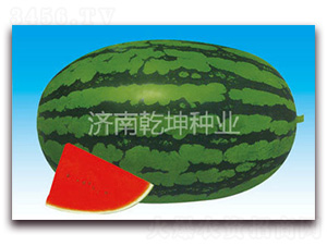 �л������˺�-��������-Ǭ����ҵ