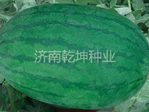 �߿��°˺�-��������-Ǭ����ҵ