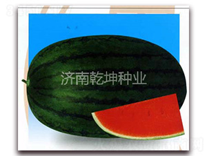 �ش�߿�888-��������-Ǭ����ҵ