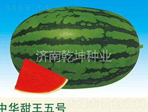 �л��������-��������-Ǭ����ҵ