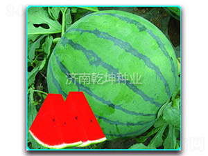 ��ѡ866-��������-Ǭ����ҵ