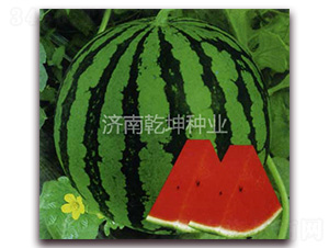 ��ѡ8424-��������-Ǭ����ҵ