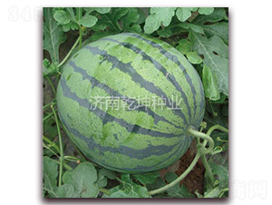 ��ѡǬ����ѩ-��������-Ǭ����ҵ