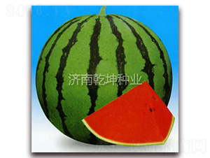 ����һ��-��������-Ǭ����ҵ