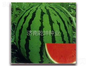 ����816-��������-Ǭ����ҵ