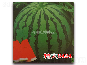 �ش�8424-��������-Ǭ����ҵ