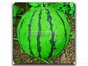 ��Ʒ����-��������-Ǭ����ҵ