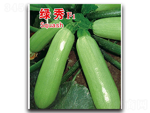 ����-����«����-������