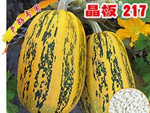 ����217-����«����-������