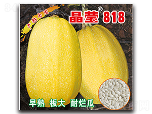 ��Ө818-����«����-������