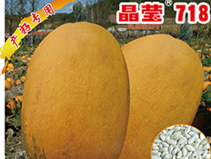 ��Ө718-����«����-������