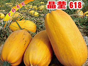��Ө618-����«����-������