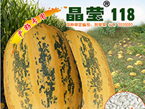 ��Ө118-����«����-������