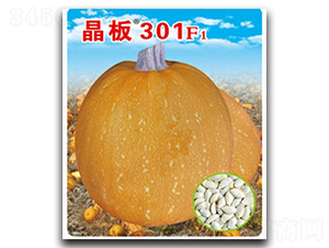 ����301-����«����-������