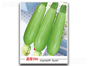 ��Ө206-����«����-������