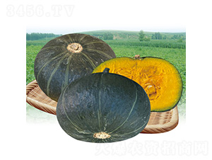 С�ڱ�4�Ϲ�F1-�Ϲ�����-��̩��