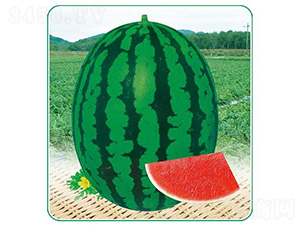 ǮԴ����һ��-��������-��̩��