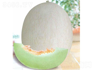 ����4�����-�������-��̩��