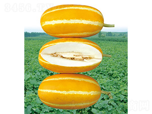�������ã�20M��3194�����-�������-��̩��