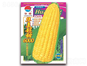 ��������6000-����������-��ũ��ҵ