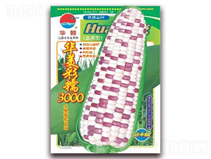 ������Ŵ3000-Ŵ��������-��ũ��ҵ