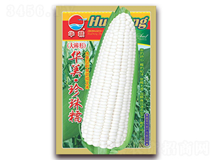 ��������Ŵ-Ŵ��������-��ũ��ҵ