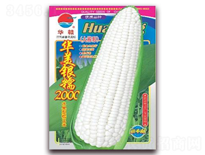 ������Ŵ2000-Ŵ��������-��ũ��ҵ