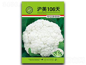 ����106��-��Ҭ������-֣��