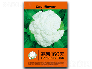 ����160-��Ҭ������-֣��