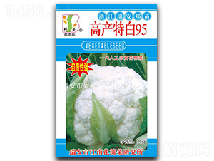 �߲��ذ�95-��Ҭ������-֣��