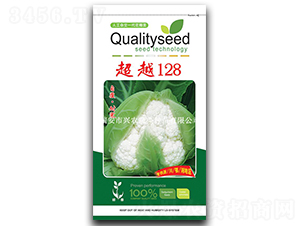��Խ128��-��Ҭ������-֣��