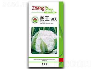 ����120��-��Ҭ������-֣��