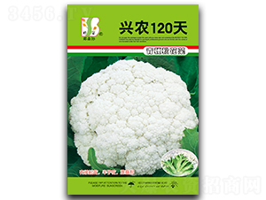 ��ũ120-��Ҭ������-֣��