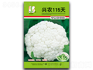 ��ũ115��-��Ҭ������-֣��