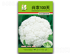 ��ũ100��-��Ҭ������-֣��