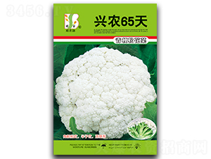 ��ũ65��-��Ҭ������-֣��