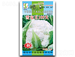 ѩ����100��-��Ҭ������-֣��