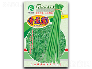 ����80-��������-������ҵ