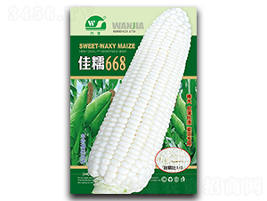��Ŵ668-��������-������ҵ
