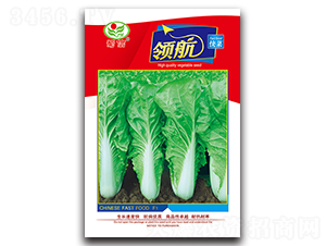 �캽���-�������-������ҵ