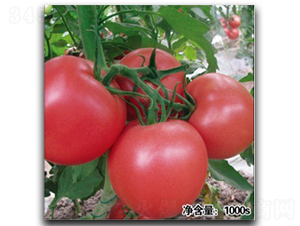 ŵ��9021-��������-�մ�ũҵ