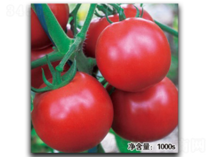 ŵ��1047����TY��-��������-�մ�ũҵ