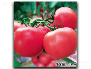 ŵ��1023-��������-�մ�ũҵ