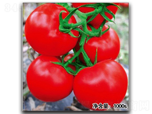 ŵ��1063-��������-�մ�ũҵ