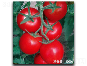 ŵ��1526-��������-�մ�ũҵ